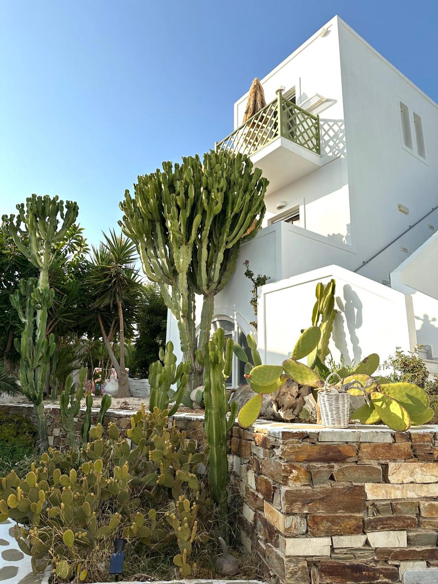 Artemis Hotel Antiparos Town Екстериор снимка