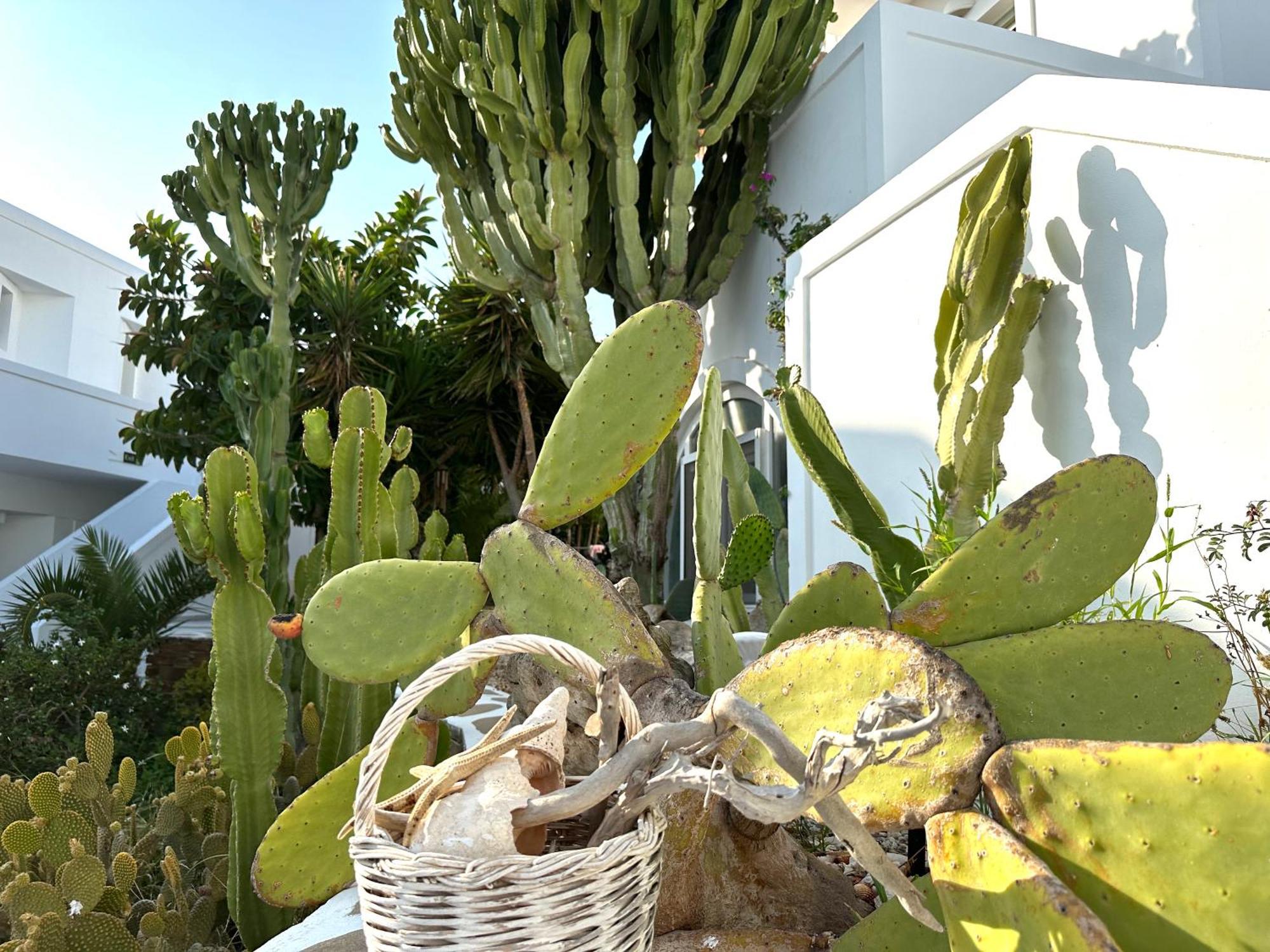 Artemis Hotel Antiparos Town Екстериор снимка