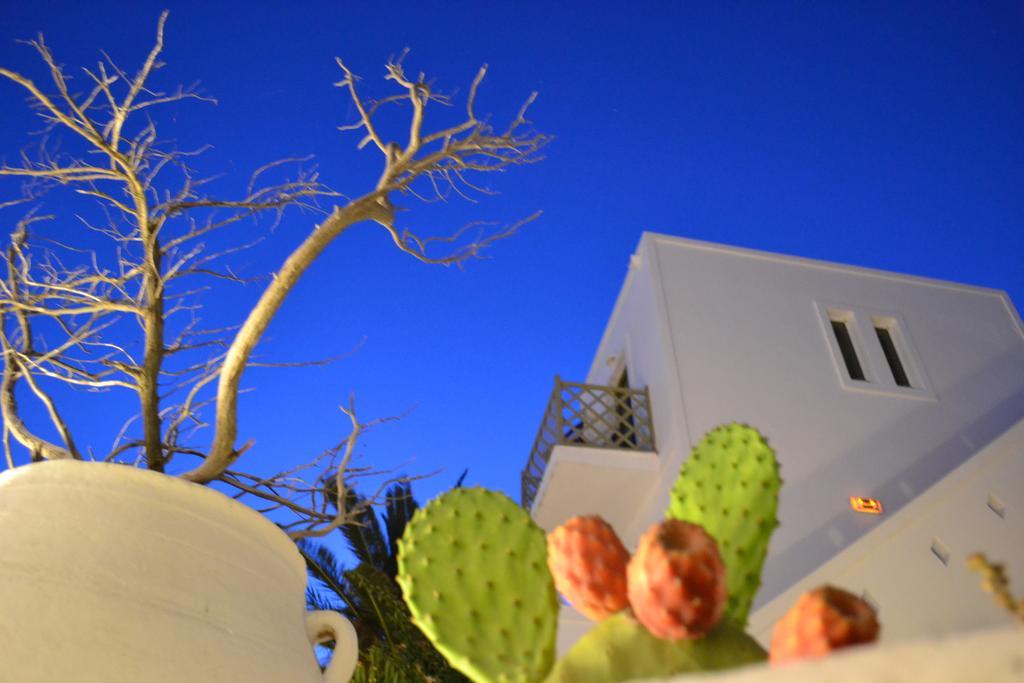 Artemis Hotel Antiparos Town Екстериор снимка